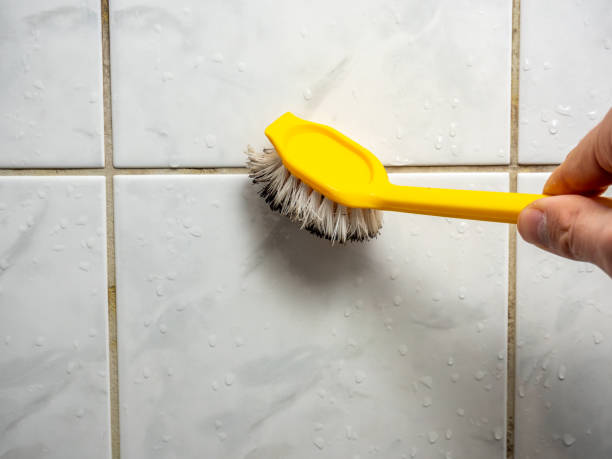 Best Mold Removal Company Near Me  in Mendota, IL