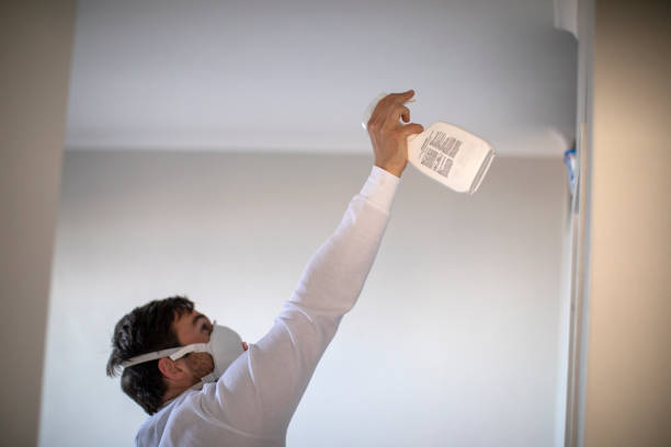 Best Mold Damage Repair  in Mendota, IL