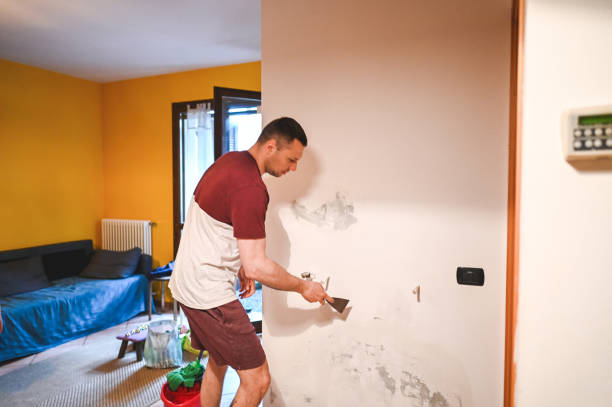 Best Attic Mold Removal  in Mendota, IL